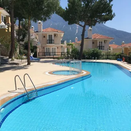 Artemisia * Oludeniz