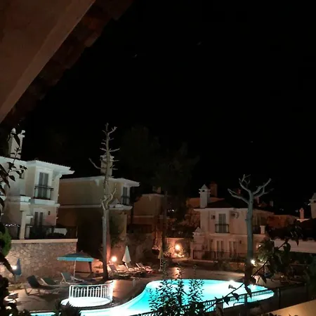 Artemisia * Oludeniz