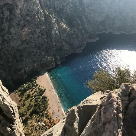 Artemisia * Oludeniz